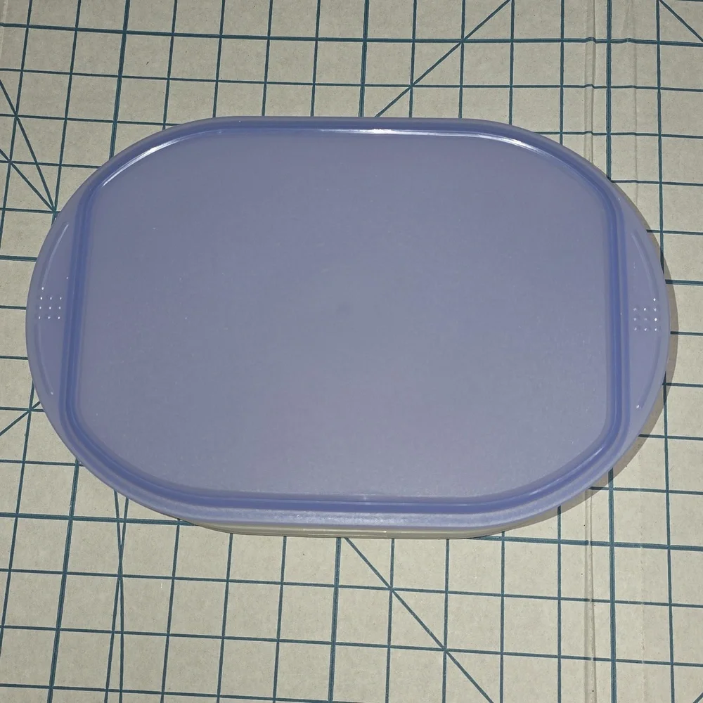 Tupperware Fridge Stackables Deli Meat Keeper Stacking Trays with Blue Lid
